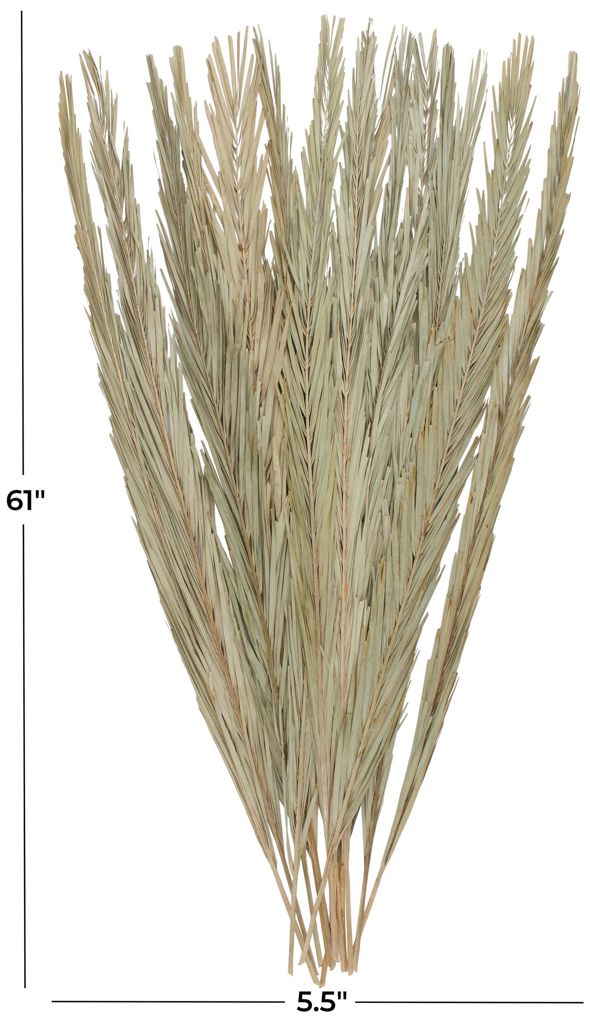Image 7 Green Palm Leaf Traditional Natural Foliage, 6" x 6" x 61" more views
