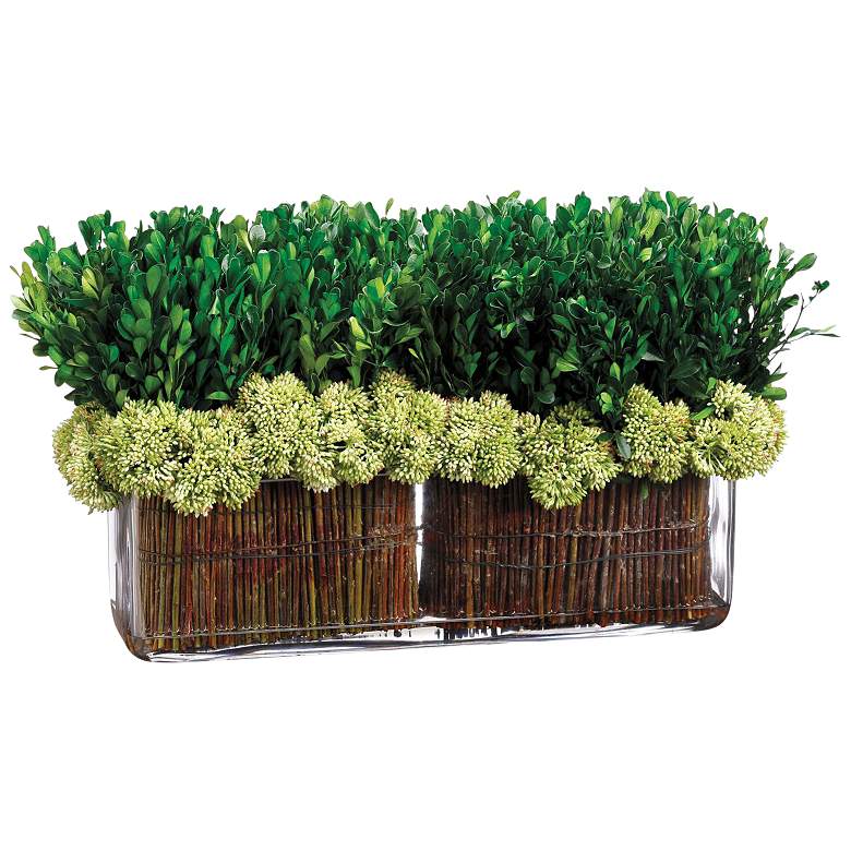 Image 1 Green Preserved Boxwood Topiary 18" Wide Faux Plant in Vase