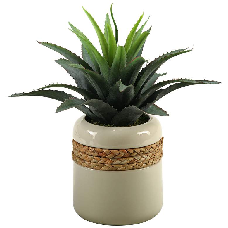 Image 1 Green Star Succulent 14 1/2 inch Wide in Round Ceramic Planter