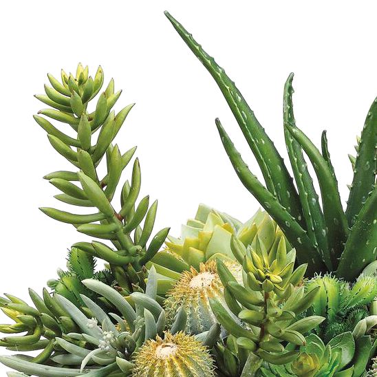 Image 2 Green Succulent 15" High Faux Plants in Gray Pot more views