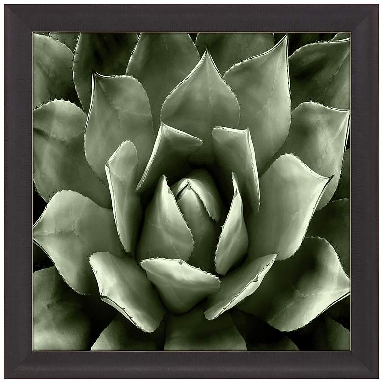 Image 3 Green Succulent II 35" Square Giclee Framed Wall Art