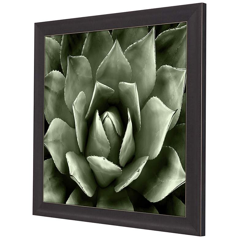 Image 5 Green Succulent II 35" Square Giclee Framed Wall Art more views
