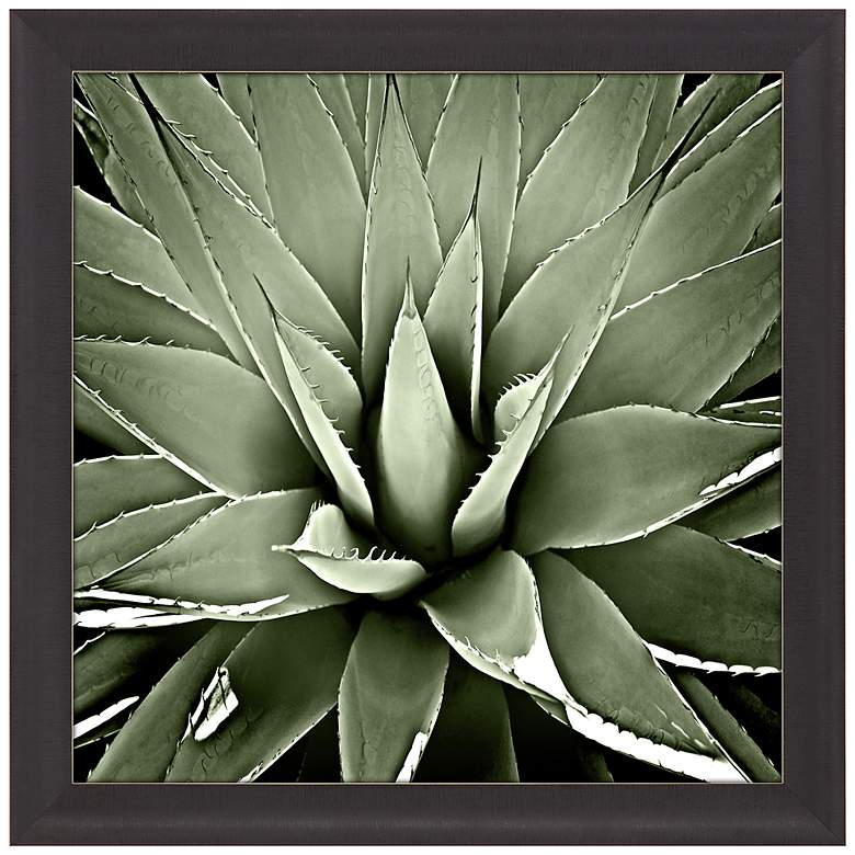 Image 3 Green Succulent III 35" Square Giclee Framed Wall Art