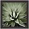 Green Succulent III 35" Square Giclee Framed Wall Art