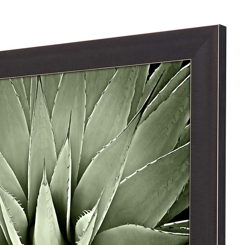 Image 4 Green Succulent III 35" Square Giclee Framed Wall Art more views