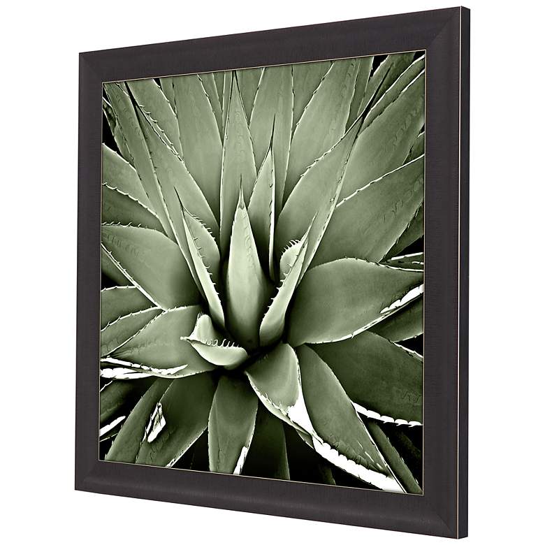 Image 5 Green Succulent III 35" Square Giclee Framed Wall Art more views