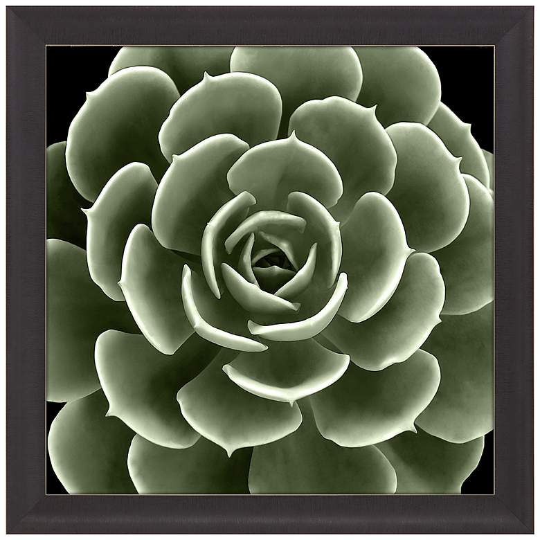 Image 3 Green Succulent IV 35" Square Giclee Framed Wall Art