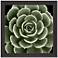 Green Succulent IV 35" Square Giclee Framed Wall Art