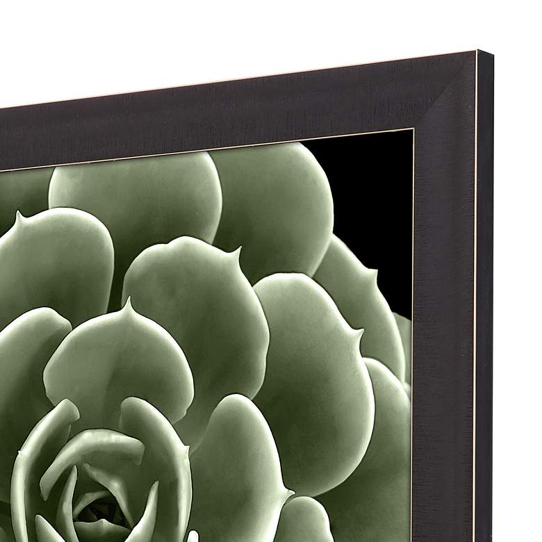 Image 4 Green Succulent IV 35" Square Giclee Framed Wall Art more views