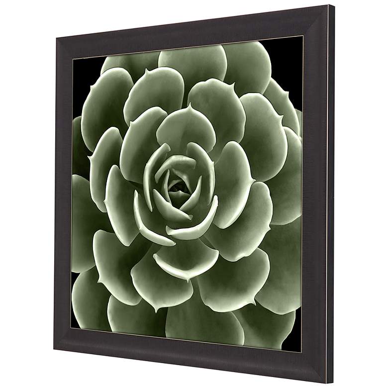 Image 5 Green Succulent IV 35 inch Square Giclee Framed Wall Art more views