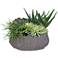 Green Succulents 8" High Faux Plant in Clay Pot