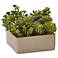 Green Succulents 8" Wide Faux Plants in Decorative Planter