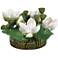 Green White Lotus 18 1/2" Wide Faux Flowers in Vase