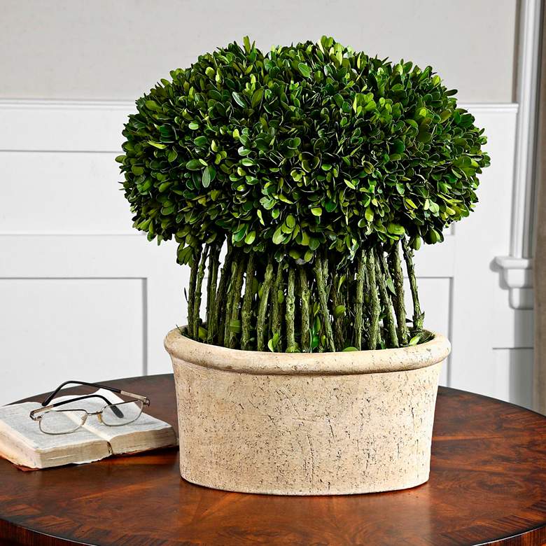 Green Willow 17&quot; High Boxwood Topiary Faux Plant in Planter