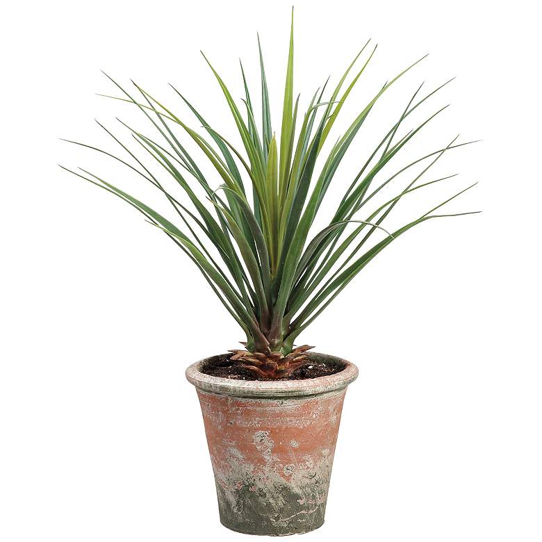 Image 1 Green Yucca 26 1/2 inch High Faux Plant in Clay Pot