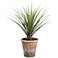 Green Yucca 26 1/2" High Faux Plant in Clay Pot