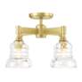 4_Gregory 4 Light Aged Brass Semi Flush Mount more views