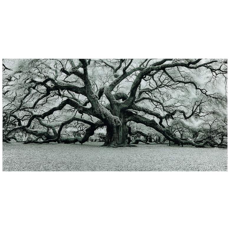 Image 3 Growth 72" Wide Free Floating Tempered Art Glass Wall Art