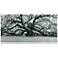 Growth 72" Wide Free Floating Tempered Art Glass Wall Art