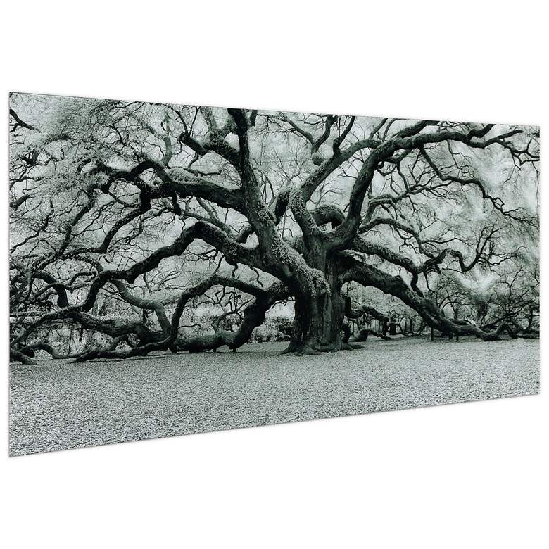 Image 5 Growth 72" Wide Free Floating Tempered Art Glass Wall Art more views