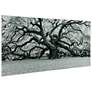 5_Growth 72" Wide Free Floating Tempered Art Glass Wall Art more views