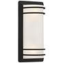 Habitat 16" High Black and Frosted Glass Outdoor Wall Light Set of 2