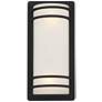 Habitat 16" High Black and Frosted Glass Wall Sconce