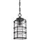 Hadley 14"H Aged Brushed Bronze Outdoor Hanging Light
