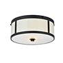 5_Hadrian 2 Lt 12" Flat Black Flush Mount more views