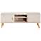 Haley 55" Wide White 2-Door TV Stand
