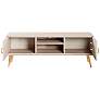 7_Haley 55" Wide White 2-Door TV Stand more views