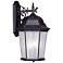 Hamilton 1 light Bronze Outdoor Wall Lantern