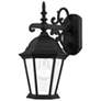2_Hamilton 15 1/4" High Textured Black Outdoor Wall Light