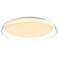 Hampton 17" Wide Clear LED Ceiling Light