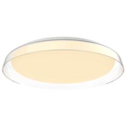 Hampton 17" Wide Clear LED Ceiling Light