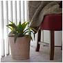 5_Handwoven Cattail Wicker Waste Basket more views