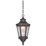 Hanford Pointe 18 3/4" High Bronze LED Outdoor Hanging Light