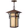 2_Harbor 19"H Brown Outdoor Hanging Light by Hinkley Lighting more views