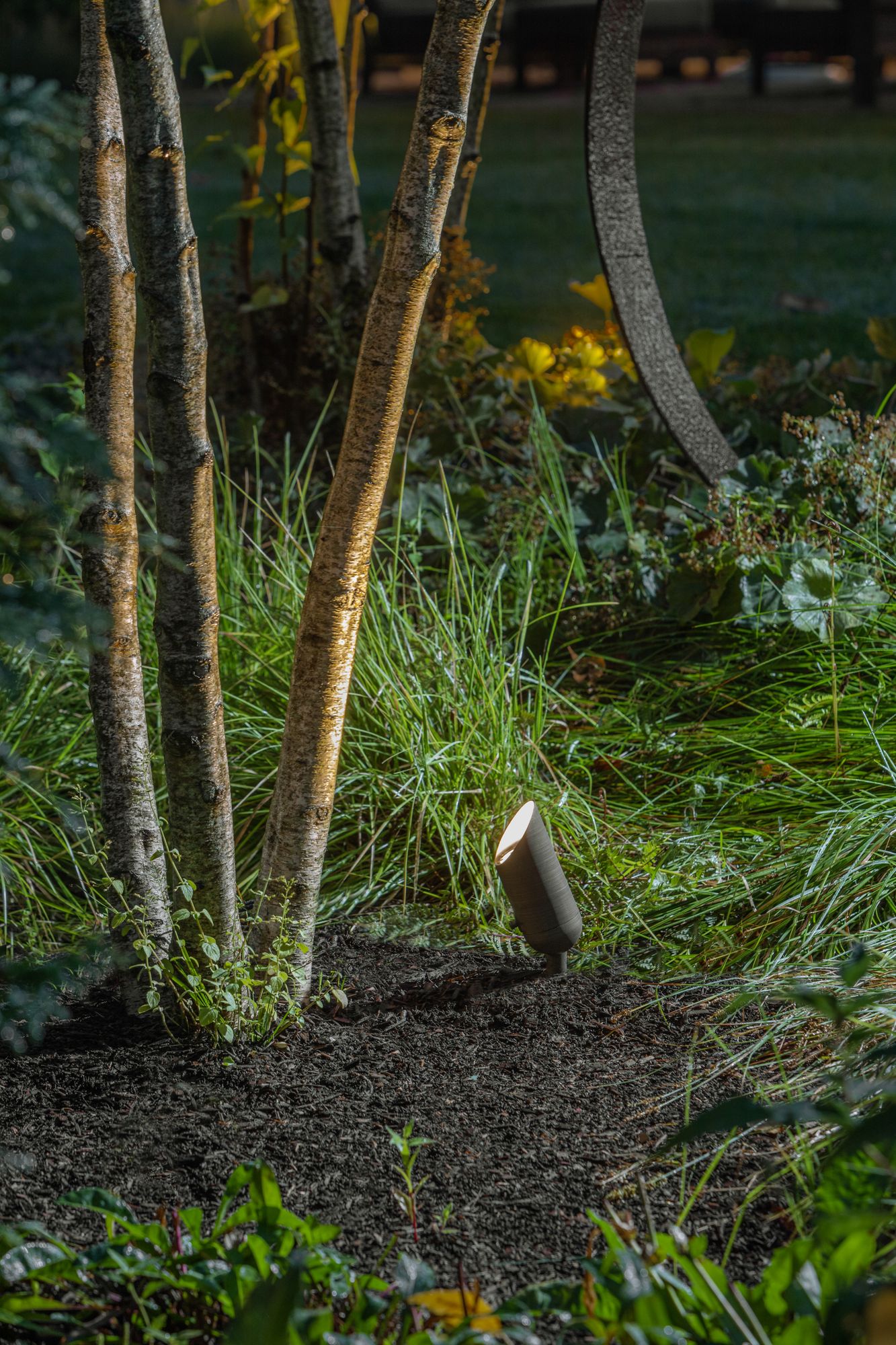 Hardy Island 5 3/4" High Matte Bronze 3000K LED Spot Light