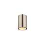 5_Harley 5" Wide Brushed Nickel Ceiling Light more views