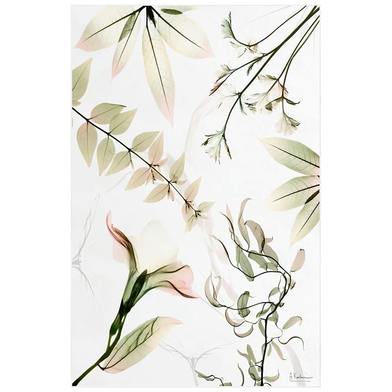 Image 1 Harmony Of Existence Washable Flowers Art Area Rug size 5'x8'