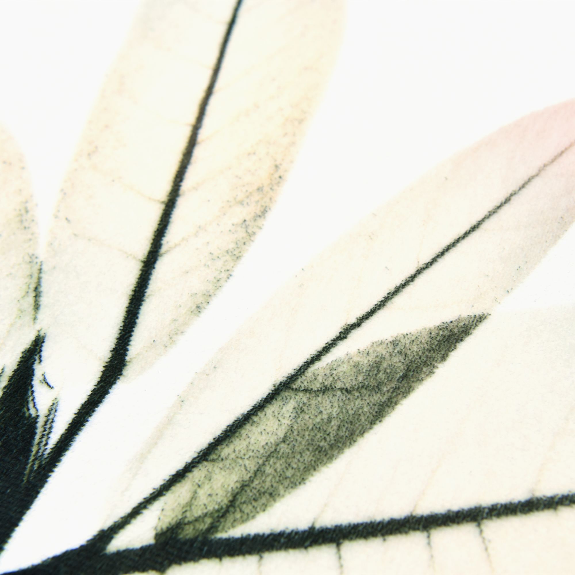 Image 7 Harmony Of Existence Washable Flowers Art Area Rug size 5'x8' more views