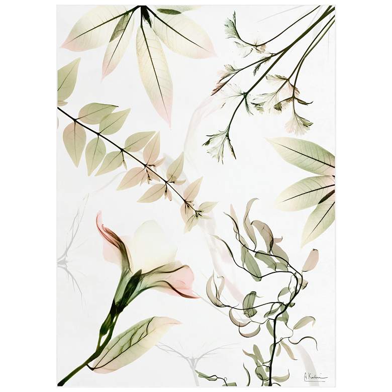 Image 1 Harmony Of Existence Washable Flowers Art Area Rug size 8'x10'
