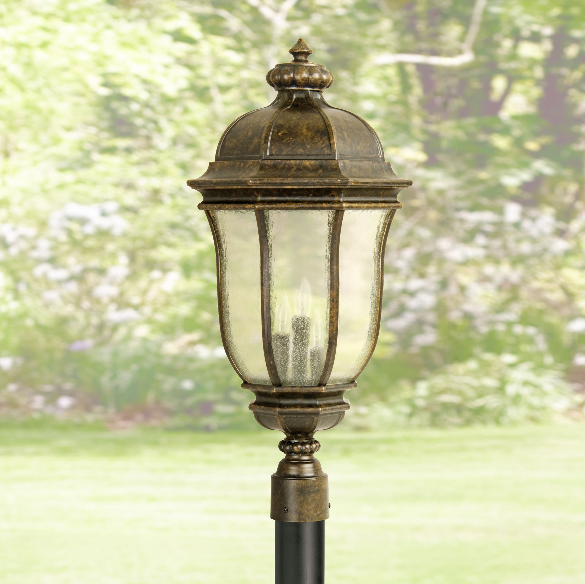 delphinium lamp