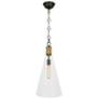 1_Hatteras 11.75"W Natural Rope And Deep Bronze And Lucite Pendant
