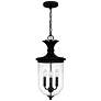 1_Havana 3-Light Earth Black Outdoor Hanging Lantern