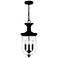 Havana 3-Light Earth Black Outdoor Hanging Lantern