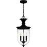 2_Havana 3-Light Earth Black Outdoor Hanging Lantern more views