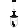 3_Havana 3-Light Earth Black Outdoor Hanging Lantern more views