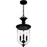 4_Havana 3-Light Earth Black Outdoor Hanging Lantern more views